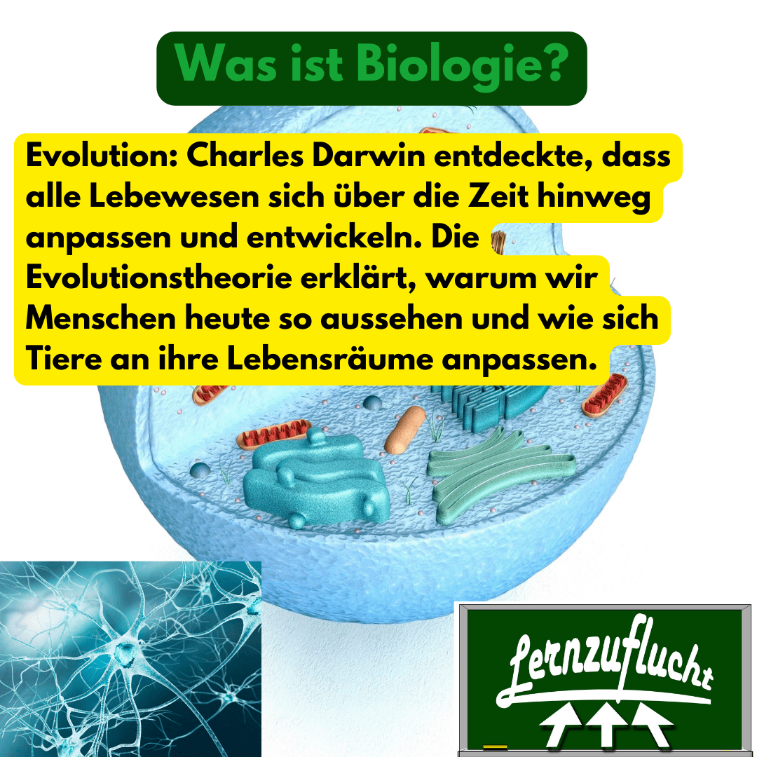 Einstufungstest Biologie Evolution