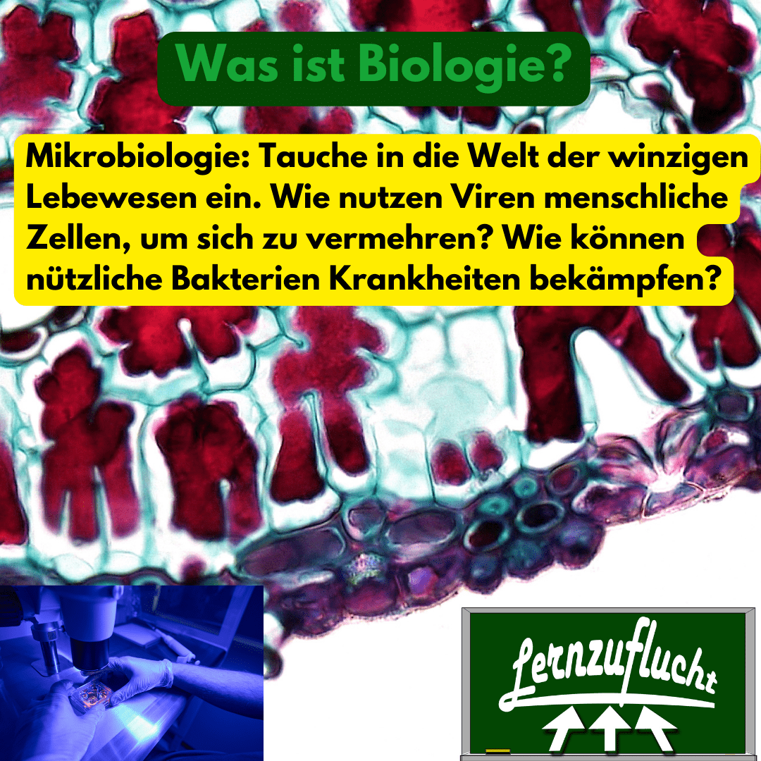 Einstufungstest Biologie Neurobiologie