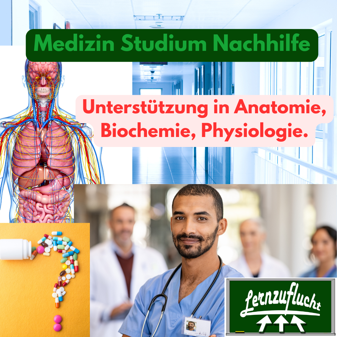 Medizin Nachhilfe Hagen