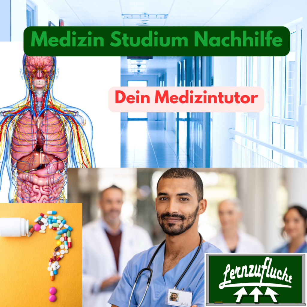 Medizinische Fachbegriffe lernen - Lernzuflucht Hagen Nachhilfe