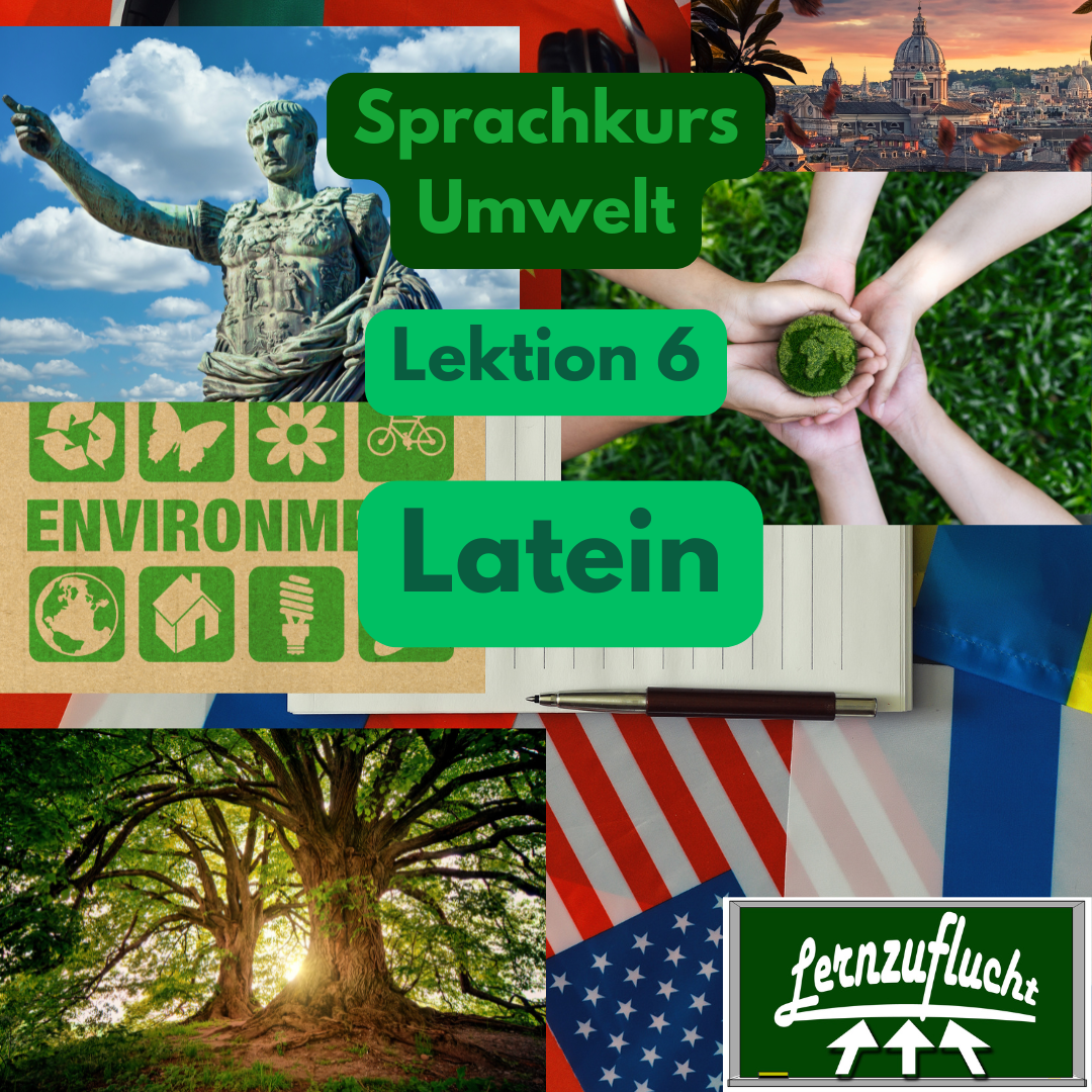 Latein Sprachkurs Lektion 6 Umwelt