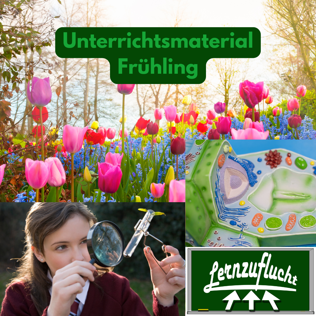 Unterrichtsmaterial Frühling Biologie